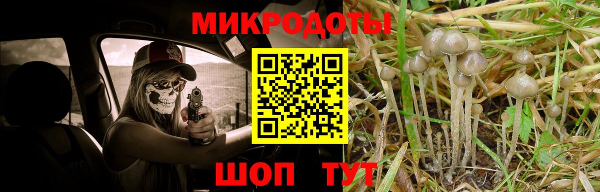Псилоцибиновые грибы Magic Shrooms  Вход с VPN  Медногорск 